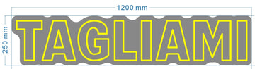 acrylic neon signs *2pcs