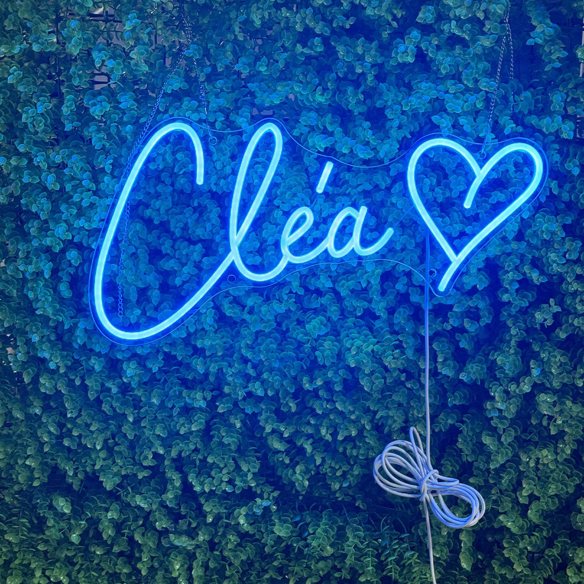 Custom RGB Name Neon Sign,Romantic LED neon light,Wedding & Proposal Neon Decorations,Birthday party setup,Home decoration