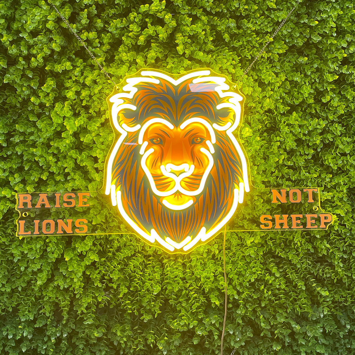 Lion Head Neon Sign with Quote - Stylish for Home Offices or Gyms, Appeals to Ambitious & Motivational - minded People, Inspiring Birthday Present