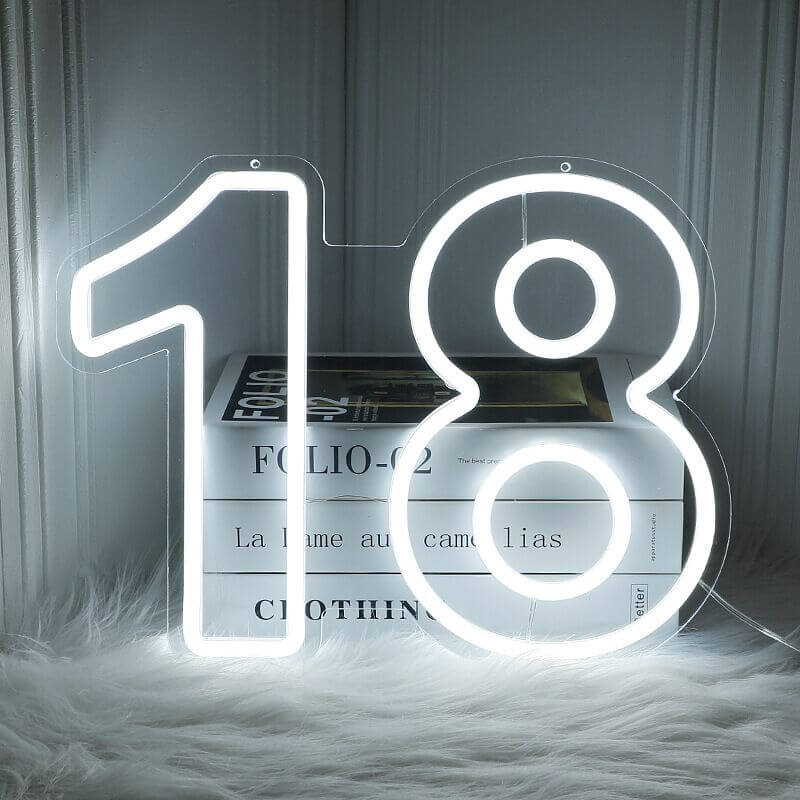 LED Number Birthday Neon Sign Birthday Party Number Decor