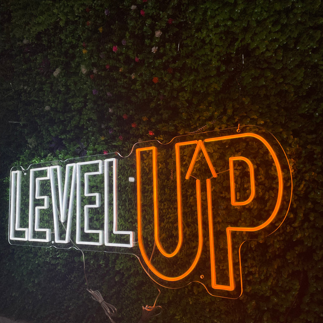Level UP Neon Sign, Custom Game Room Game Zone LED Neon Light Wall Art Decor Home Bedroom Gaming Room Gym Fitness Decoration Personalized Gift For Gamer