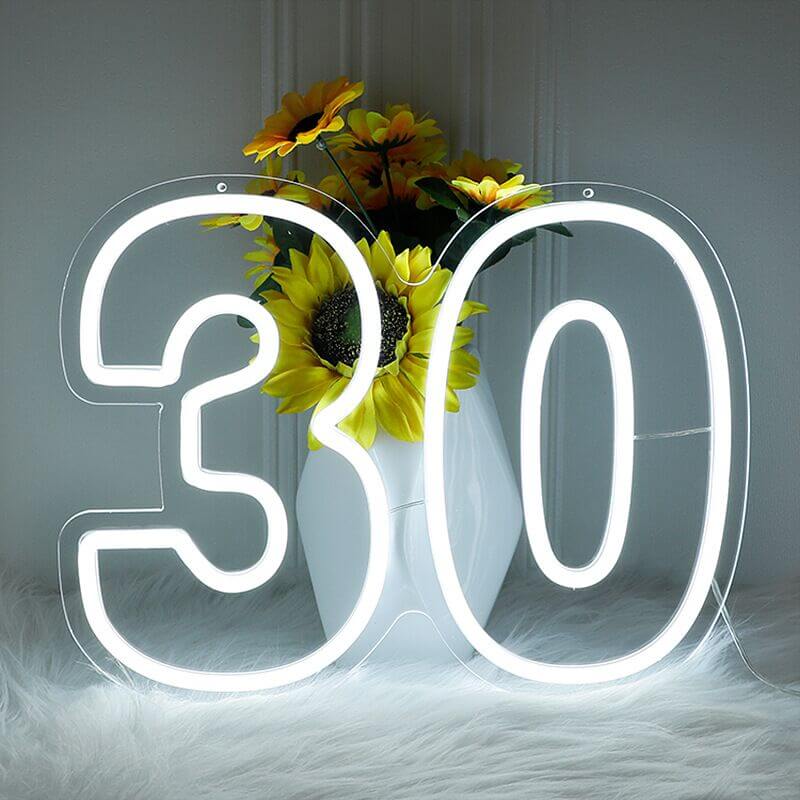 LED Number Birthday Neon Sign Birthday Party Number Decor