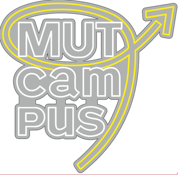 6PCS