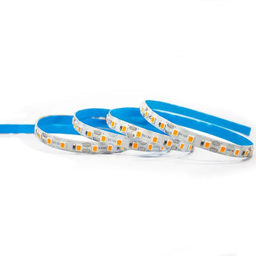 Waterproof IP65  New 12V 120led/m led strips 50Meters/roll