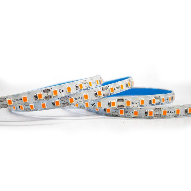 Waterproof IP65  New 12V 120led/m led strips 50Meters/roll