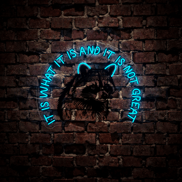 It Is What It Is And It Is Not Great Neon Sign