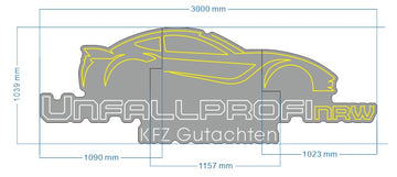 car 300cm