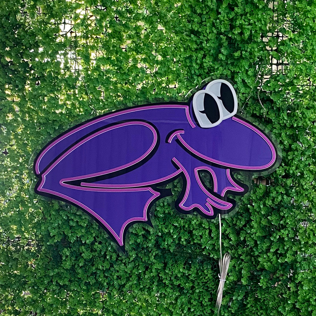 Frog Neon Sign, Purple Frog Neon Lights, Frog Line Art Neon Decor, Custom Frog LED Sign, Custom Color Neon Light, Gifts For Kid