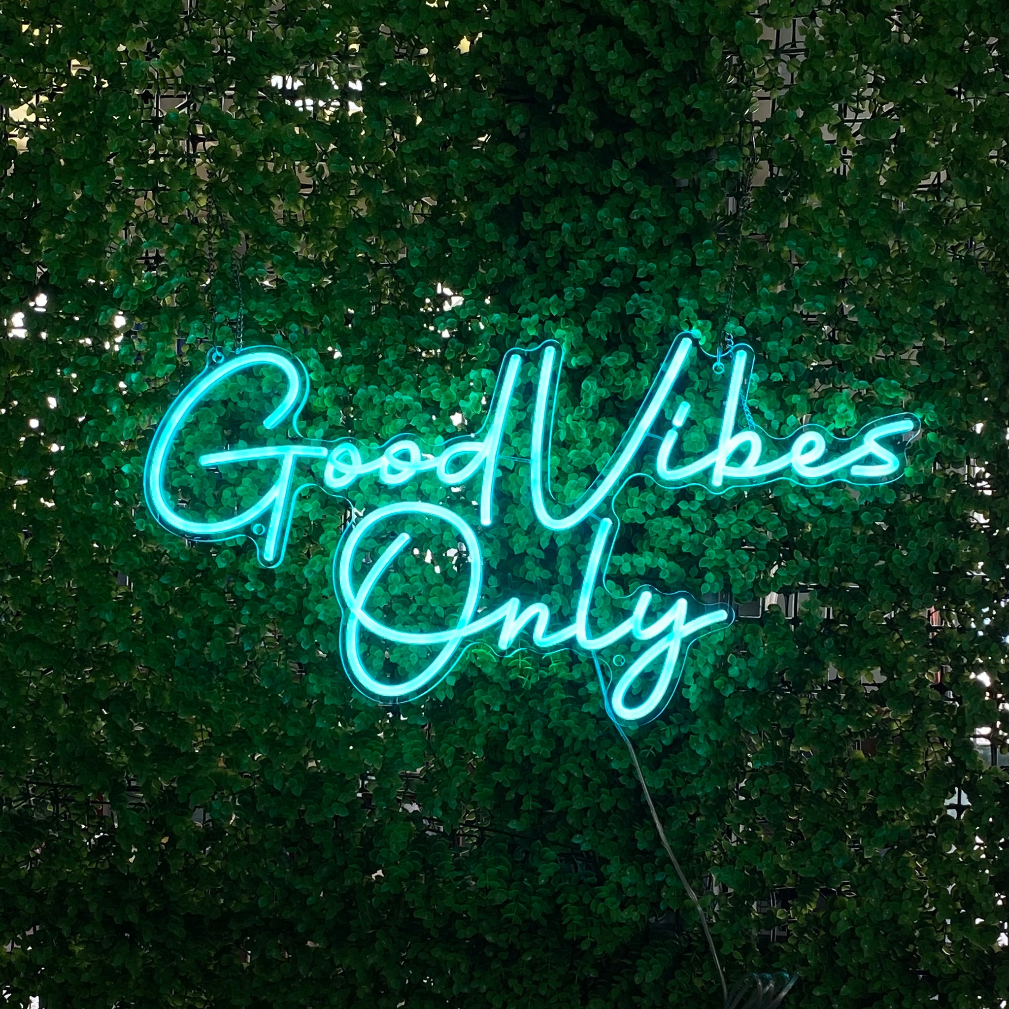 Good Vibes Only Neon Sign - Ice Blue LED Wall Light for Aesthetic Room Decor, Chill Vibe Lighting for Bedroom, Office, Studio