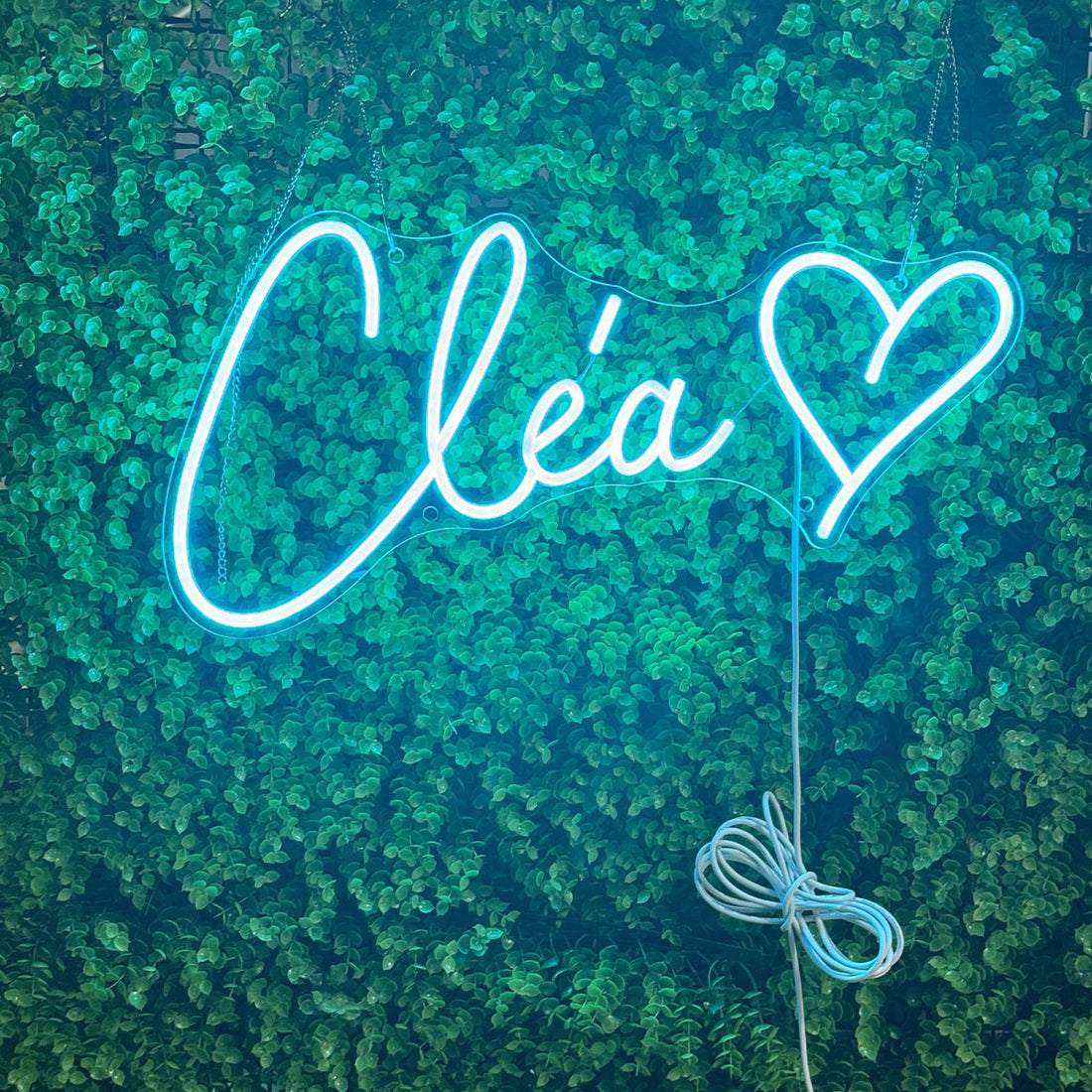 Custom Neon Sign Light Logo Neon Name Large LED Neon Sign  Personalized Neon Sign For Home Decor,Stores