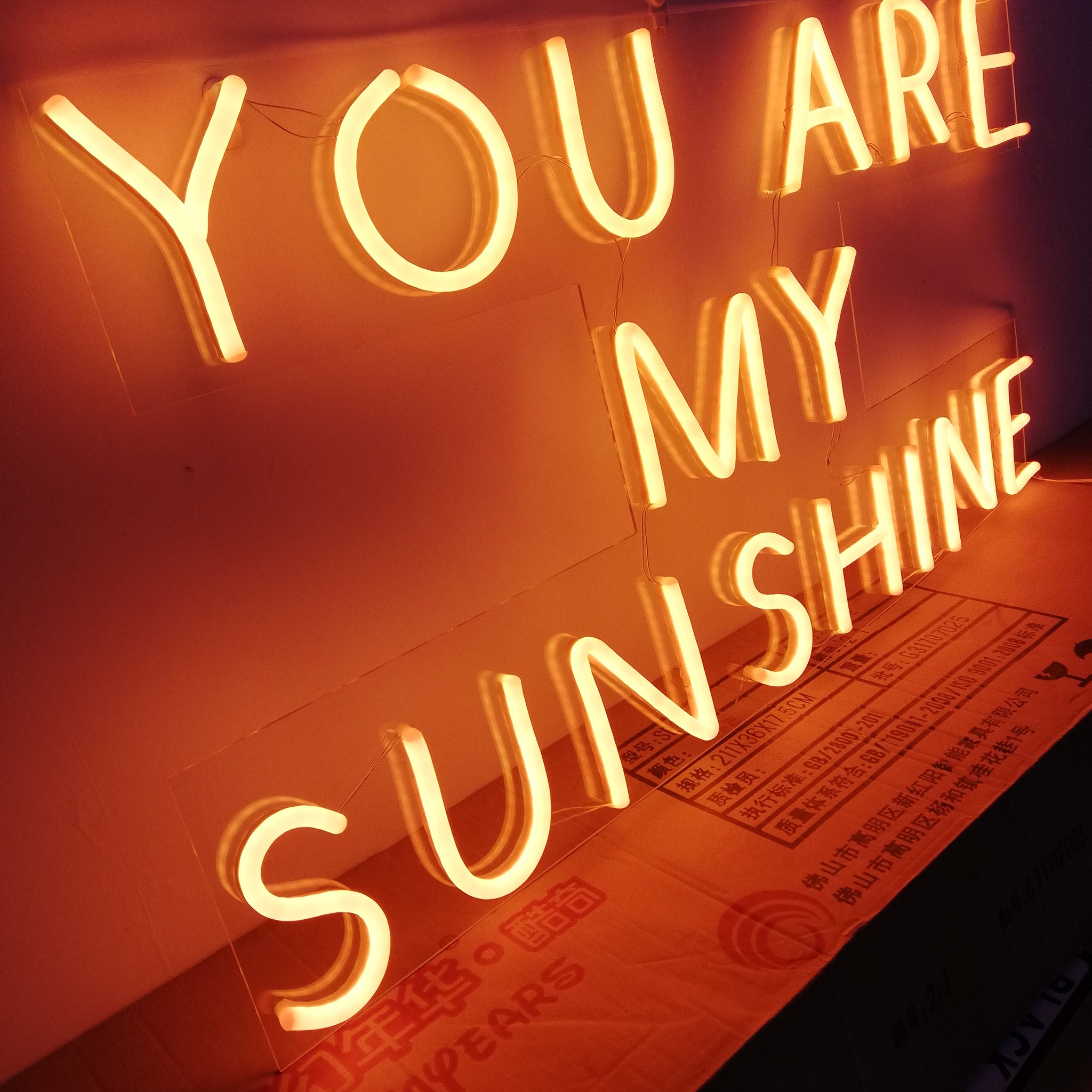 You Are My Sunshine Neon Sign, LED Light Home Decor, Sunshine Neon Light, Gift for Her