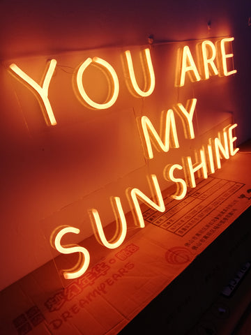 You Are My Sunshine Neon Sign, LED Light Home Decor, Sunshine Neon Light, Gift for Her